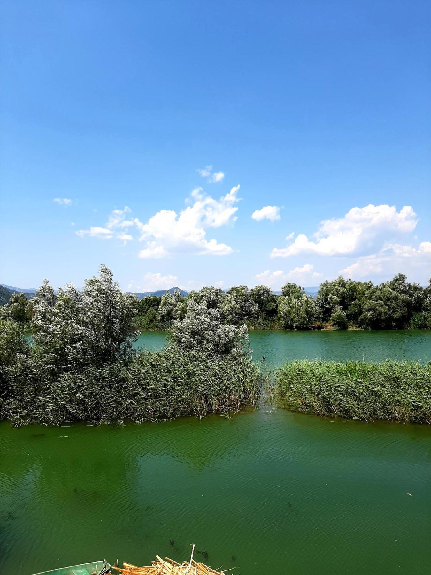 Skadar Lake House 비르파자르 외부 사진