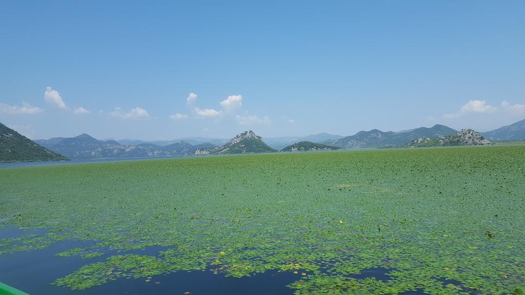 Skadar Lake House 비르파자르 외부 사진